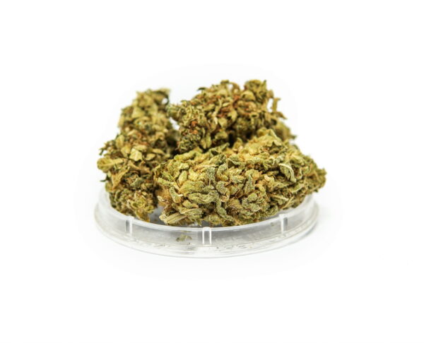 Susz konopny KC Virtus "Gorilla Glue" 4,20 g - obrazek 2