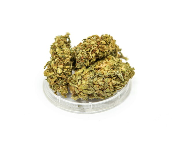 Susz konopny KC Virtus "Gorilla Glue" 4,20 g - obrazek 3