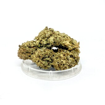 CBD Kwiaty Konopi „OG KUSH”