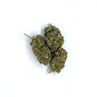 CBD Kwiaty Konopi ” SUPER JAMAICA”