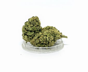 CBD Kwiaty Konopi ”TROPICANA”