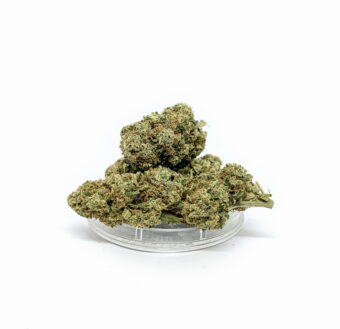 CBD Kwiaty Konopi ”KOSHER KUSH”